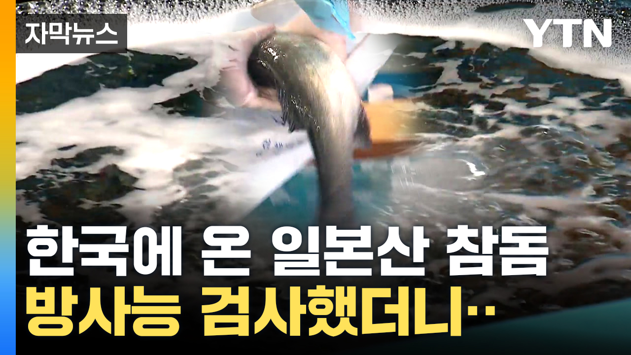[자막뉴스] "증명해야죠"...수산물 방사능 검사 과정 공개