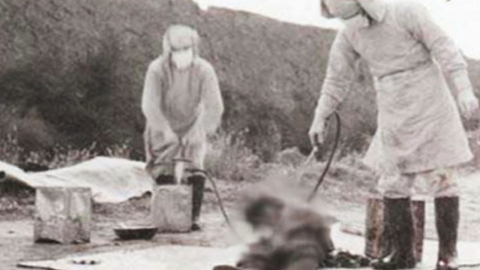 '마루타'에 엽기적인 생체실험…日 '731부대' 명단 최초 발견