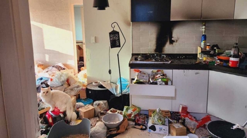 반려동물이 원터치 가스레인지 화재 일으켜…국내 첫 사례