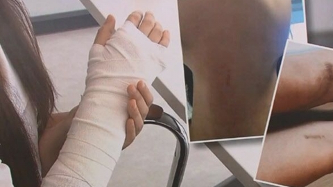 양천구 초교, 교사 폭행 6학년생 고발 요청..."교권침해 판단"