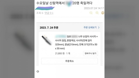'신림역 살인 예고 글' 피의자 인천서 긴급체포