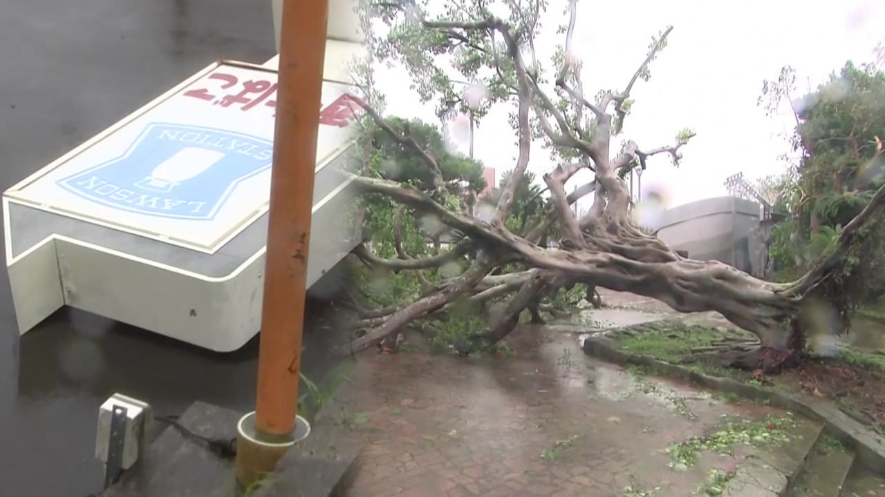 Typhoon No. 6 in Japan Causes Evacuation of 1.47 Million Residents and Widespread Damage