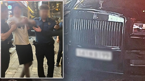 '약물 투약' 롤스로이스 차주, 오늘 구속영장 심사