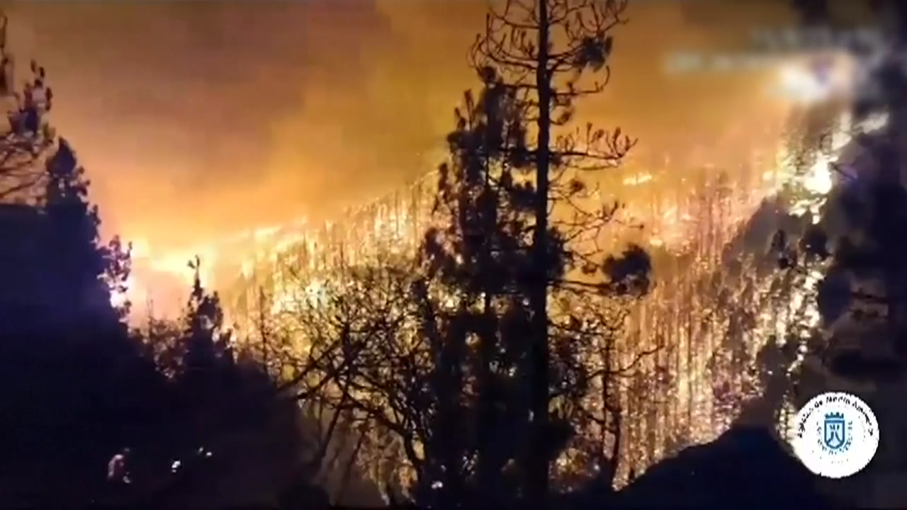 Wildfires Ravage Tenerife and Canada, Leaving Devastation in their Wake