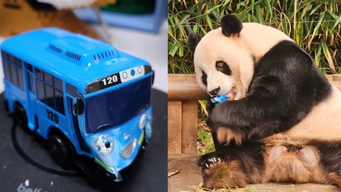 러바오, 관람객이 떨어뜨린 장난감 '와그작'…관람객 사과 메일