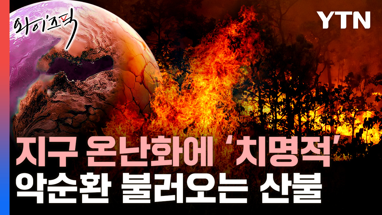 악순환 시작됐다...기후변화 불러오는 초대형 산불, 전 세계 '비상' [와이즈픽] 