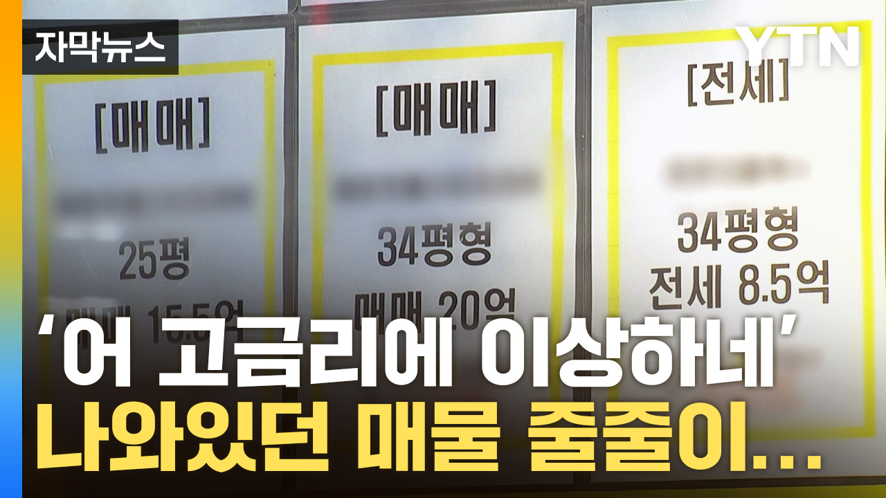[자막뉴스] 금리 안 무섭나...서울 부동산 곳곳 '이상현상'