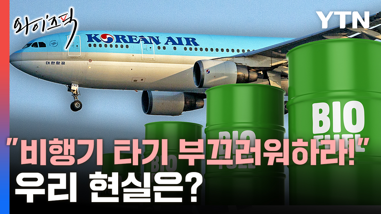"비행기 타기 부끄러워하라"...우리 친환경항공유는 '걸음마' 수준 [와이즈픽]