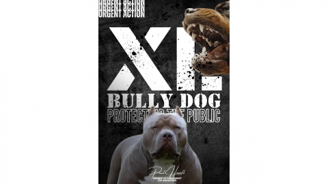 영국, '아메리칸 XL 불리' 연말까지 금지견 지정