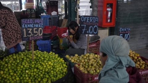 "라임 잘랐더니 스티로폼 가루가..." 페루 '가짜 과일' 사기 주의보