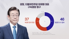 "이재명 영장 청구 '정당 절차' 46% vs '정치 탄압' 37%" [갤럽]