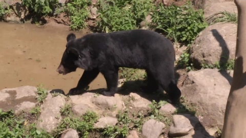 추석 연휴 지리산 산행 시 반드시 지켜야 할 탐방 수칙은?