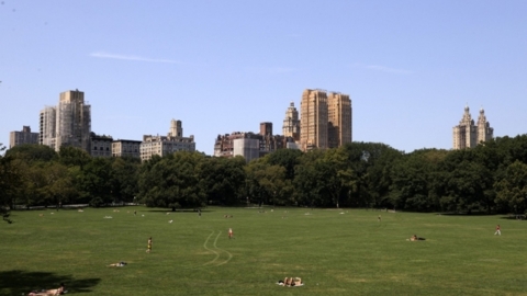 올 가을 뉴욕 센트럴파크 상징 '잔디밭' 못 간다...내년 4월까지 폐쇄