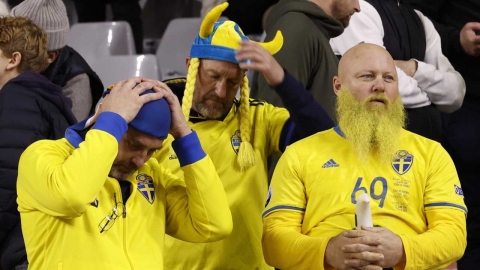 벨기에-스웨덴 A 매치, 경기 도중 중단...총기난사 사망 여파