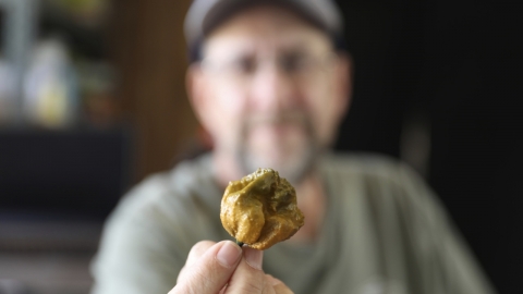 불닭보다 600배 맵다...기네스북 오른 신종 고추 '페퍼X' 