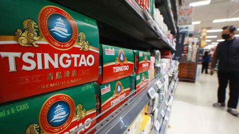 국내용 아니라고 해명했지만..."'소변 테러' 논란에 칭다오 매출 급감"