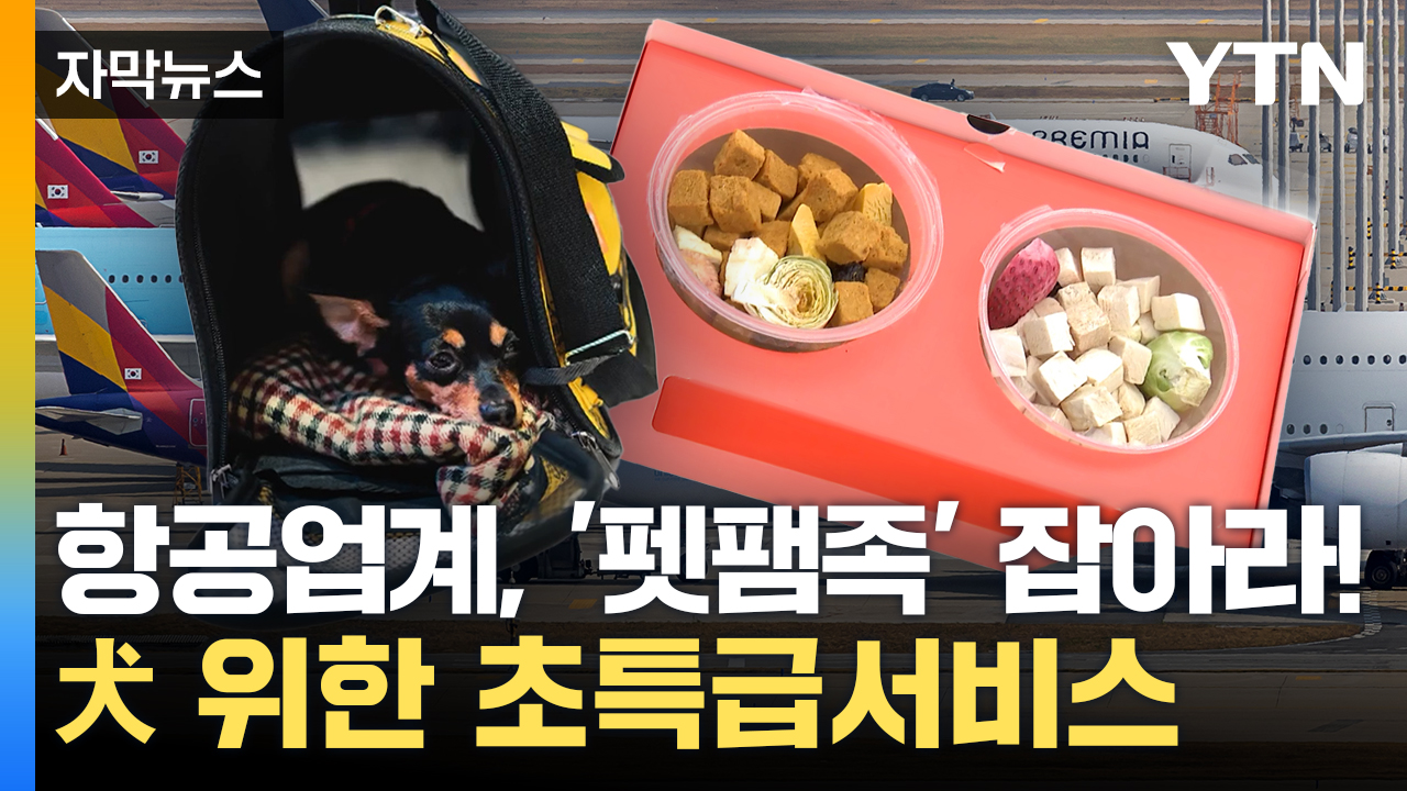 [자막뉴스] 대형 손님 잡아라!...항공업계, 반려견 위한 서비스 출시