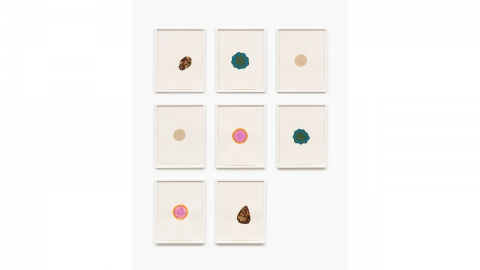 RM 관심 높은 로니 혼 개인전...관계성에 대한 세밀한 관찰