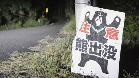 日 야생곰 출몰에 올해만 6명 사망…'이 지역'에 피해 집중