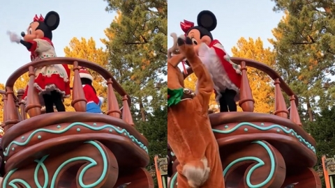 ‘꿈의 나라’ 디즈니랜드 성희롱 논란…미니 마우스 치마 들춘 순록