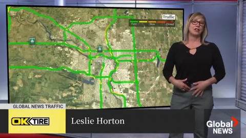 "임신했냐" 시청자 조롱에…"암으로 자궁 잃었다" 고백한 리포터