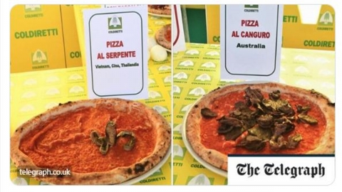 귀뚜라미 피자에 대마초 피자까지…종주국 이탈리아 화났다