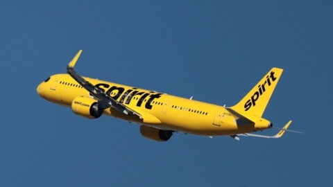 '나 홀로 집에'가 현실로?...美 6세, 크리스마스 날 엉뚱한 비행기에