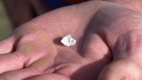 다이아몬드 공원서 주운 투명한 돌…4.87캐럿 진짜 다이아