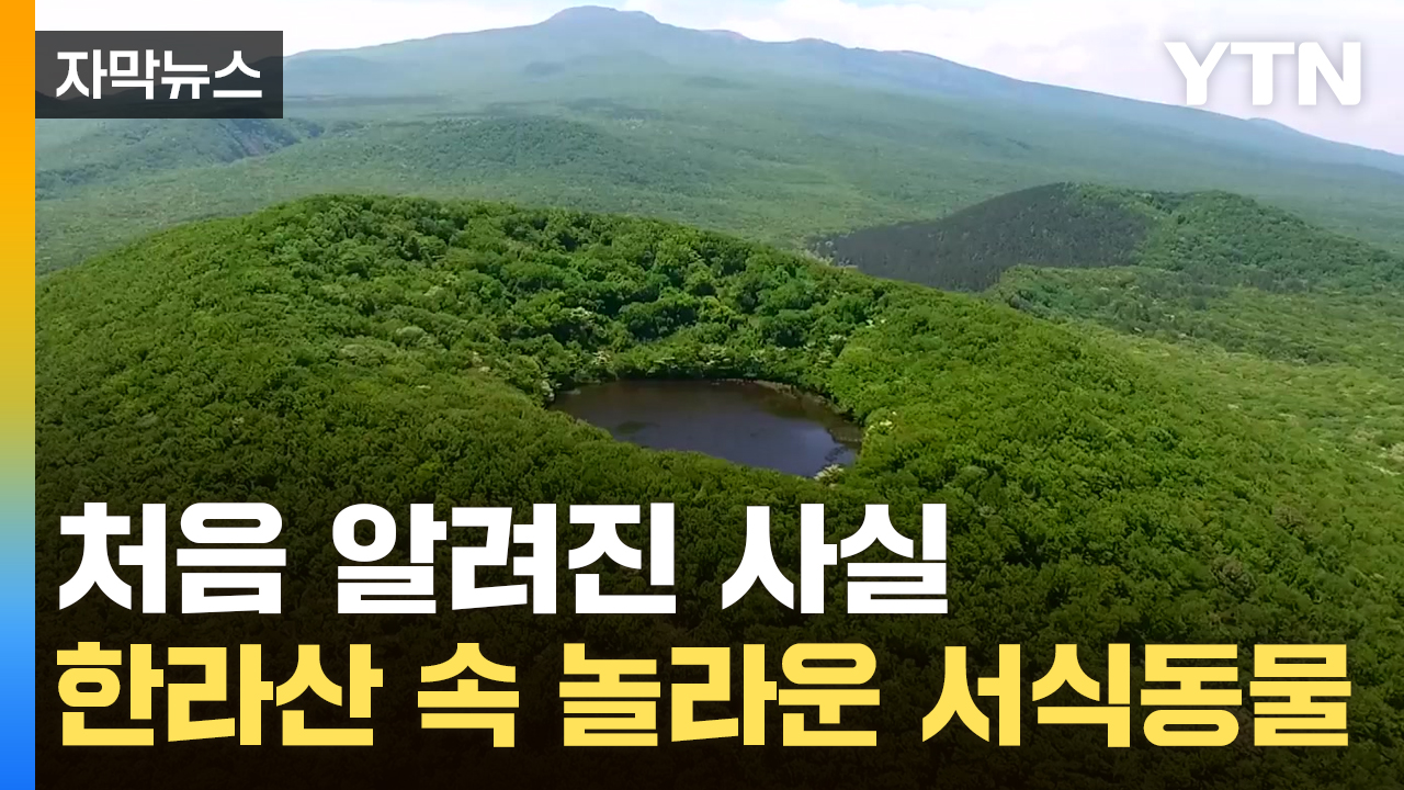 [자막뉴스] '엄청난 자연의 보고'...한라산 처음 조사해 봤더니