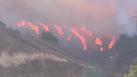 선거 있는 짝수해 대형산불 악몽…'산불 예방'으로 시무식