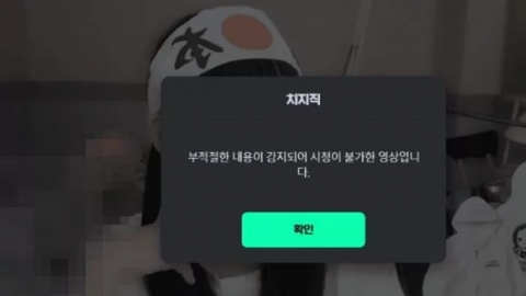 욱일기 티셔츠에 선정적 방송도…‘치지직’ 대책 마련 착수