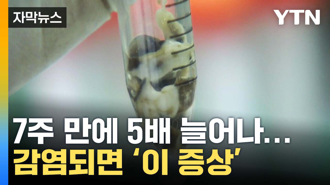 [자막뉴스] 7주 만에 '5배' 늘어난 감염자...예방하려면?