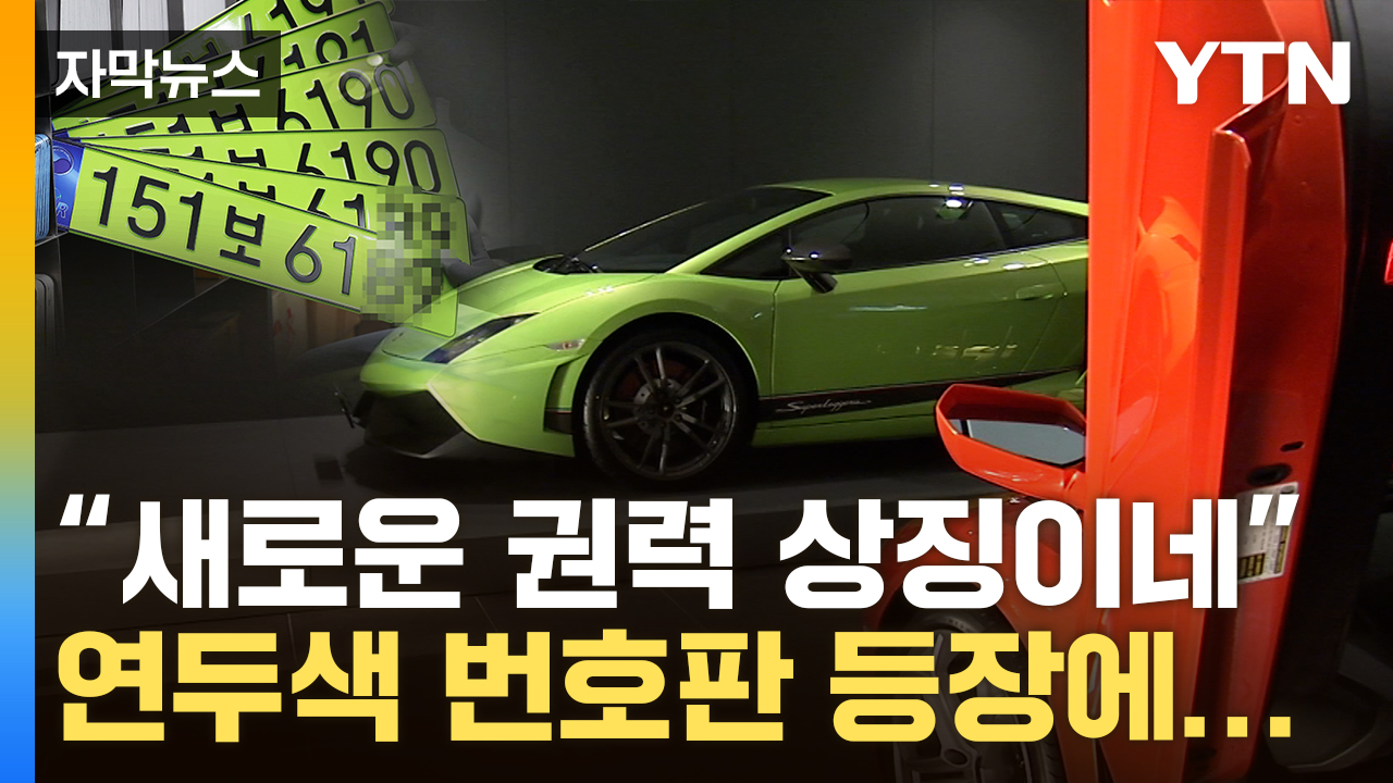 [자막뉴스] '어 연두색 번호판이다'...결국 엇갈린 입장