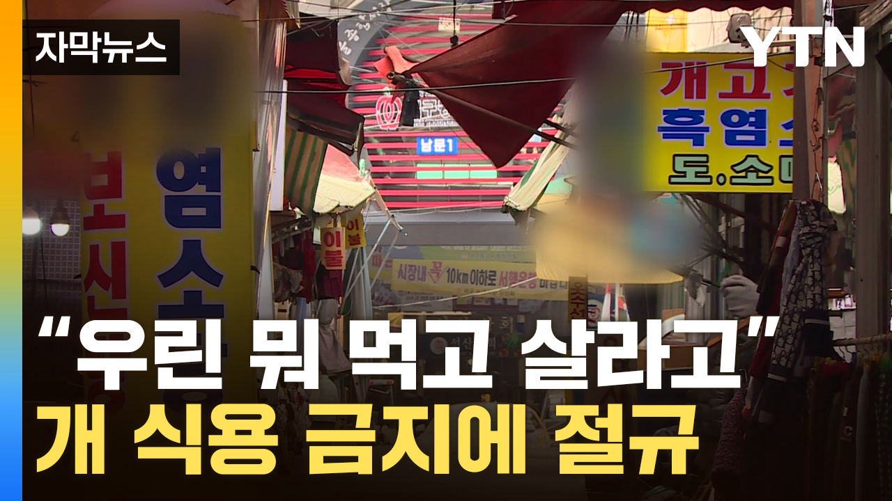 [자막뉴스] 이제 금지된 '보신탕'...개 시장 분위기는 '암담'