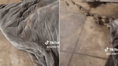 담요 들추자 수십 마리 쥐가...충격적인 뉴욕 노숙자 현황