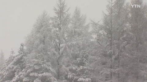[날씨] 경기·강원 대설주의보...전국 눈·비, 미끄럼 주의