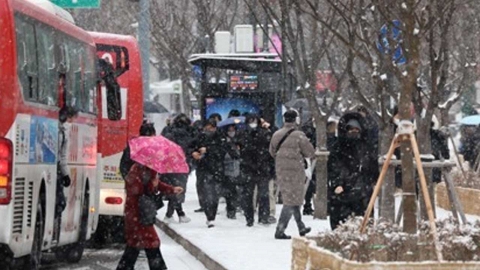 한파에 실종된 103세 노인, 버스기사 덕분에 10시간 만에 구조
