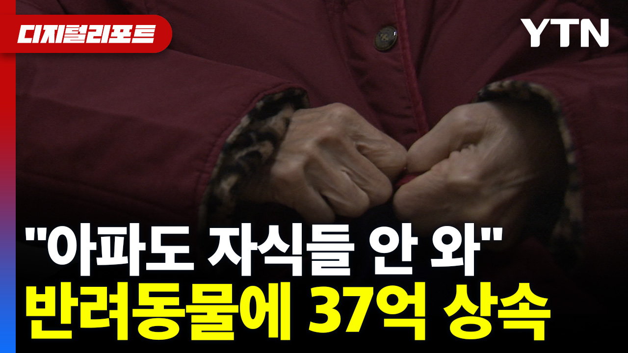 "아파도 자식들 안 와"..반려동물에 37억 원 상속한 中 할머니 [디지털리포트] 