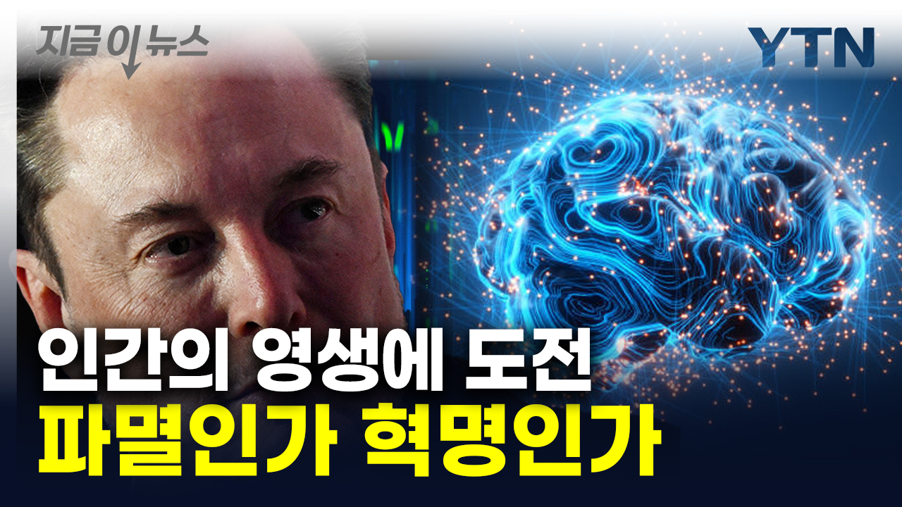 '인류의 성취' vs '파멸의 시작'...머스크의 초현실 야망 '뉴럴링크' [지금이뉴스]