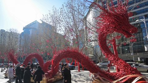 갑진년 맞아 중국서 "용(龍) 영문 표기 드래곤→룽 바꾸자"