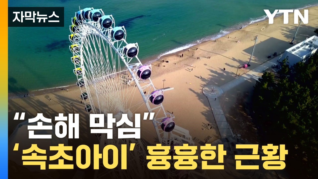 [자막뉴스] "엄청난 비용 어째요"...'속초아이' 공무원 칼바람 그 후