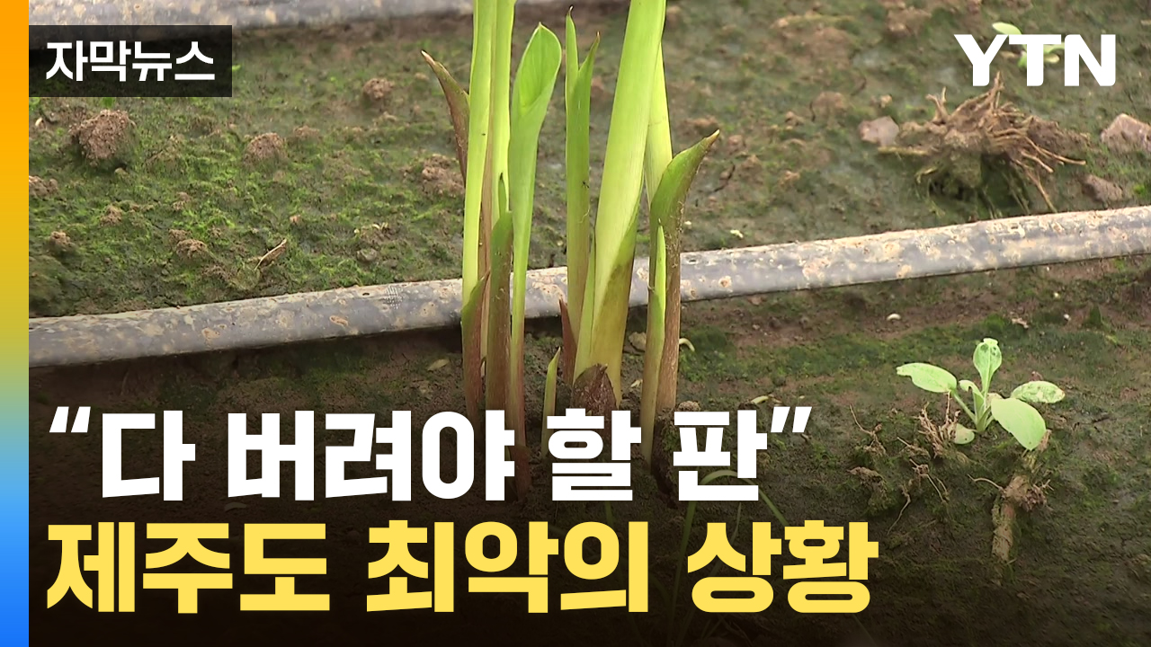 [자막뉴스] "전기료 폭탄에도 도리가 없어요"...애타는 농가