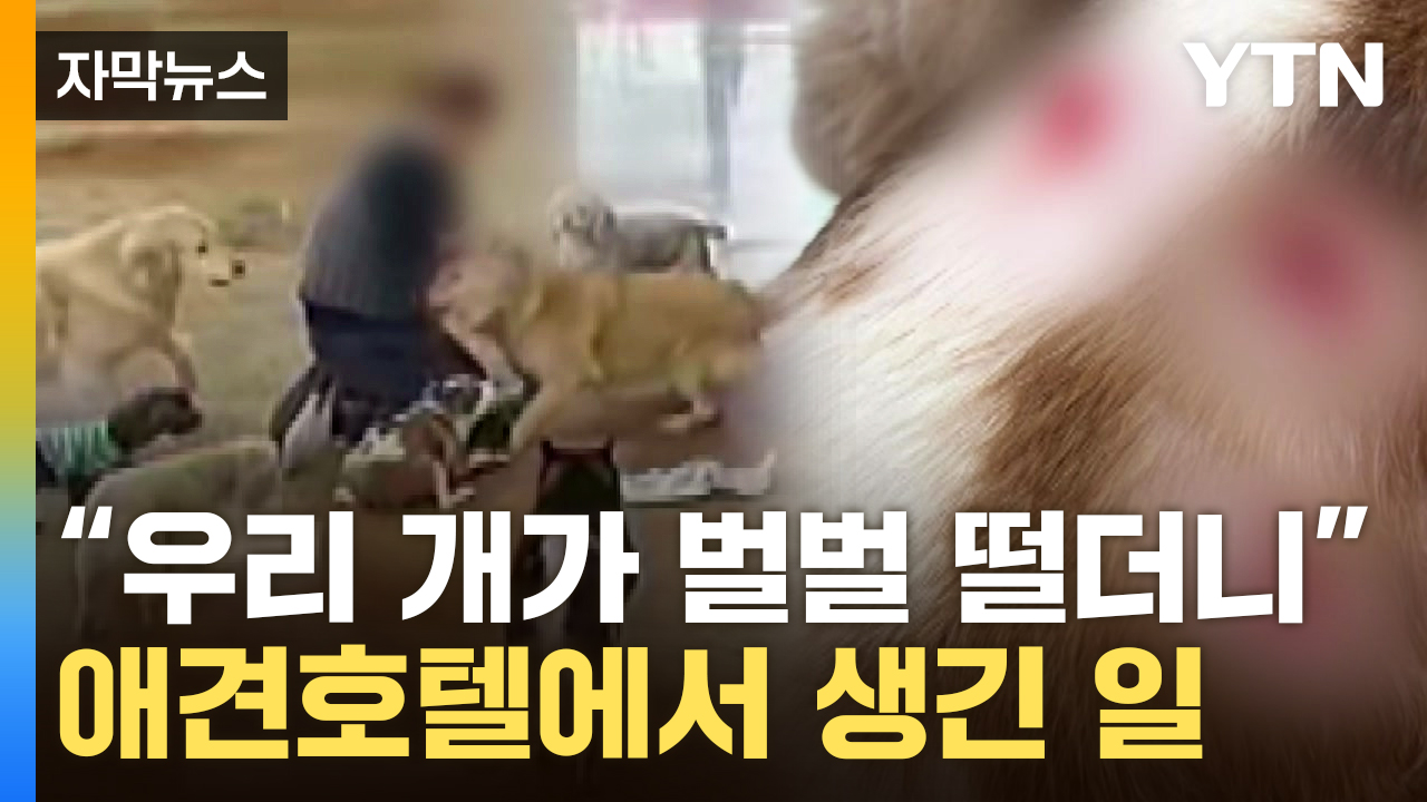 [자막뉴스] 선명한 이빨 자국...순식간에 벌어진 대형견의 공격