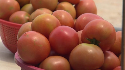 "토마토 49%·딸기 18% 인상"...과일·채소 가격 또 오른다