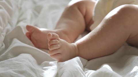 성인 절반만 "결혼 생각 있다"…"아이 낳겠다"는 불과 28%