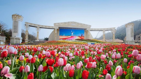 에버랜드, '산리오 캐릭터즈'와 함께하는 튤립축제 22일 개막