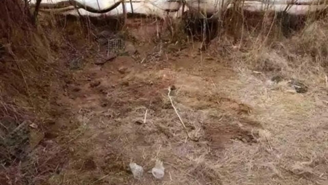 동급생 살해하고 암매장한 13살 학생들...중국 사회 '발칵'