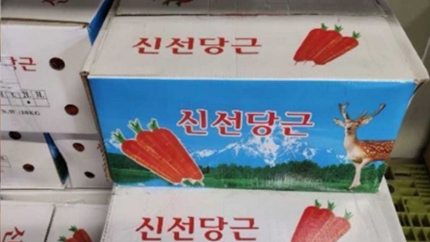"섭취 중단하세요" 중국산 당근 일부 제품에서 잔류 농약 초과 검출