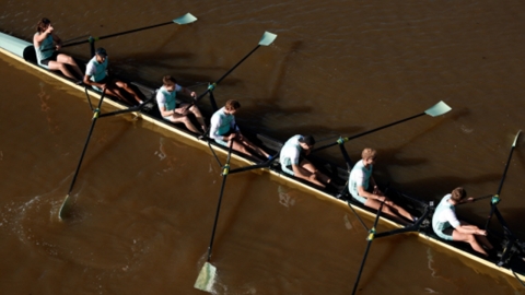 英 템스 강 '수질 오염' 논란…조정 대회 코치 "국가적 망신"