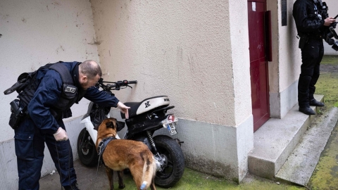 프랑스 현직 시장 집에서 대마수지 70㎏ 발견돼 체포
